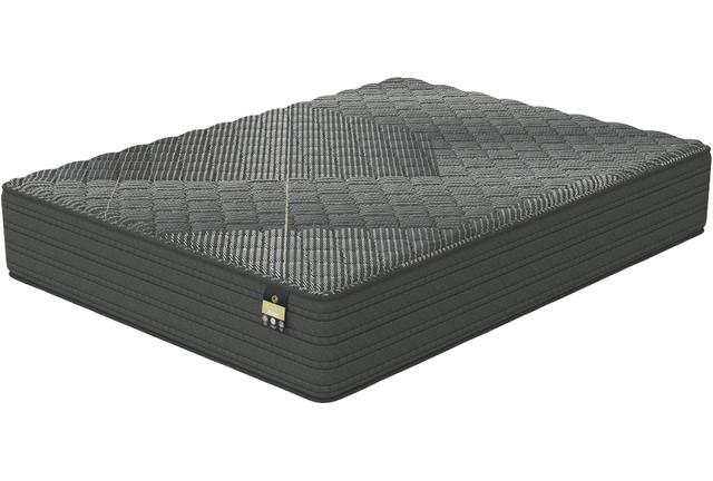 Geneva Firm Mattress TWIN